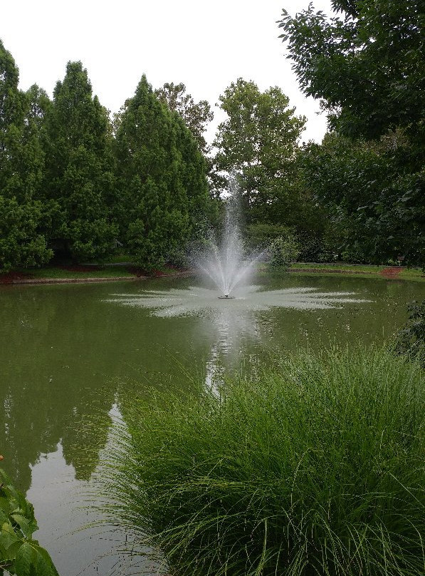 Swaim Park-Montgomery必去景点