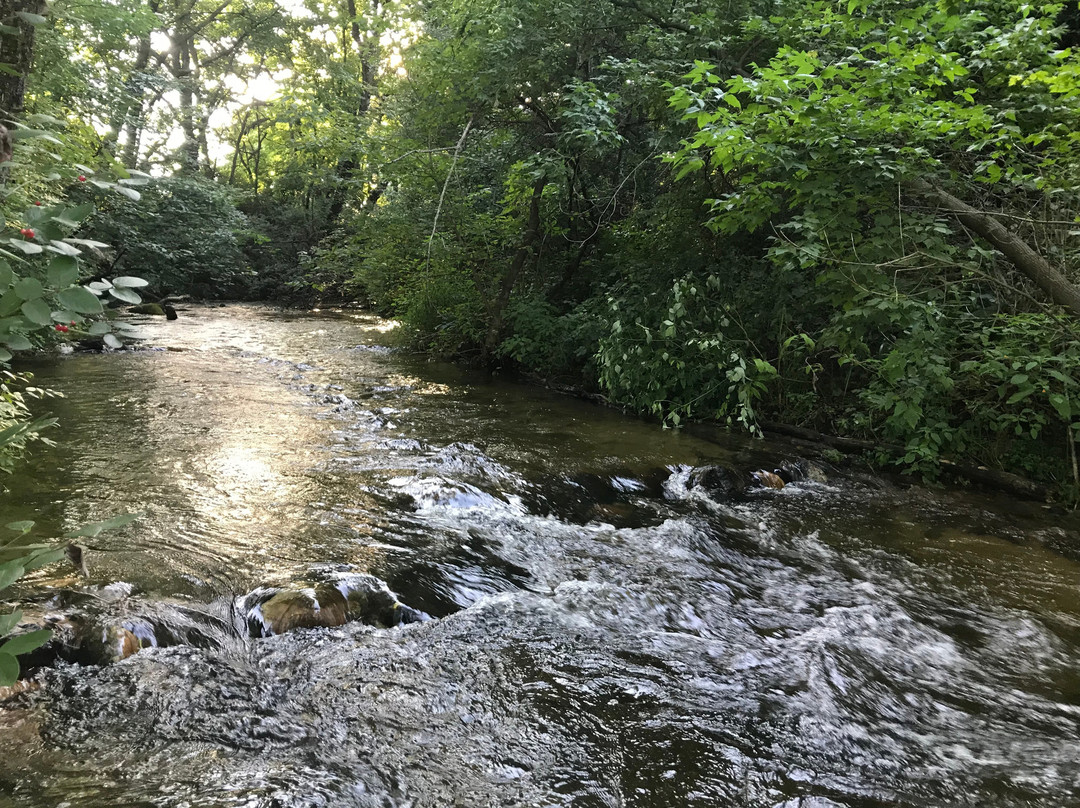 Mecan River House B&B主图