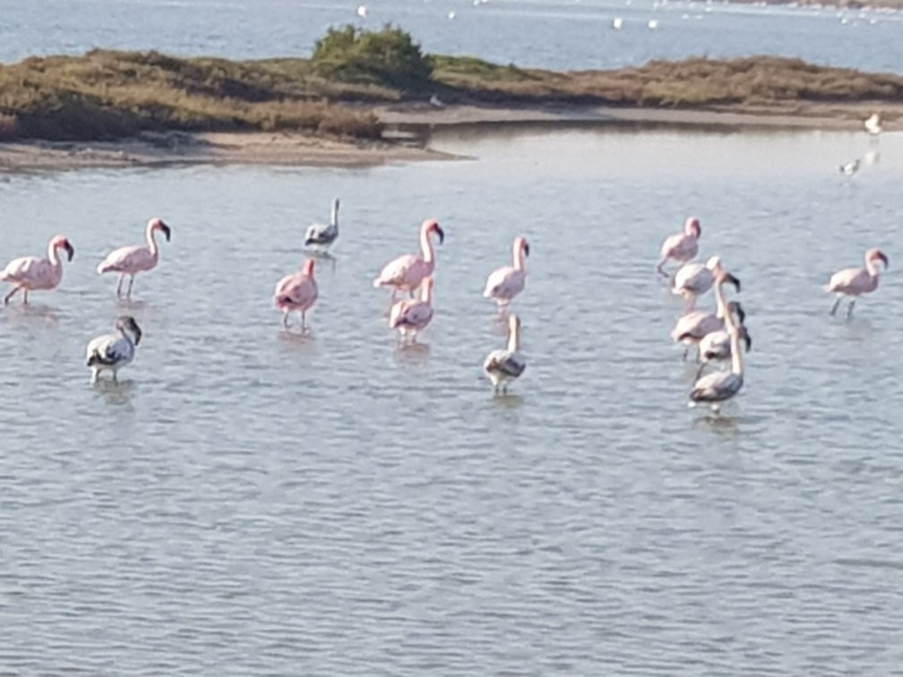 Russells on the Port主图