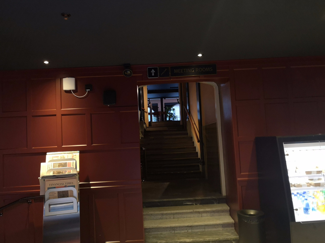 斯堪迪克中央大酒店主图