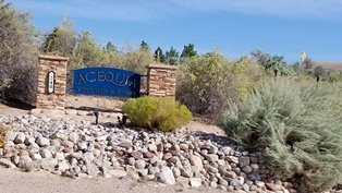 Acequia Vineyards & Winery景点图片