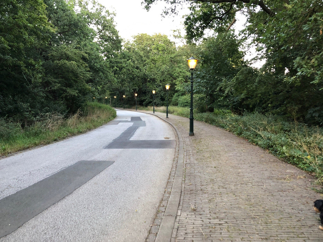 Westbroekpark景点图片