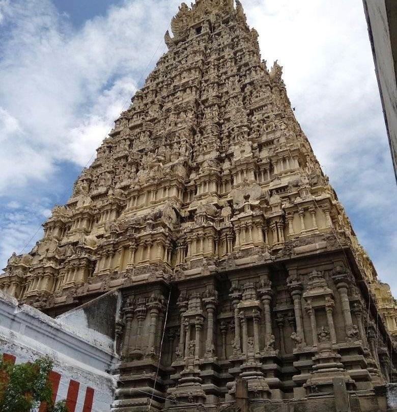 Sankara Narayana Swamy Temple景点图片