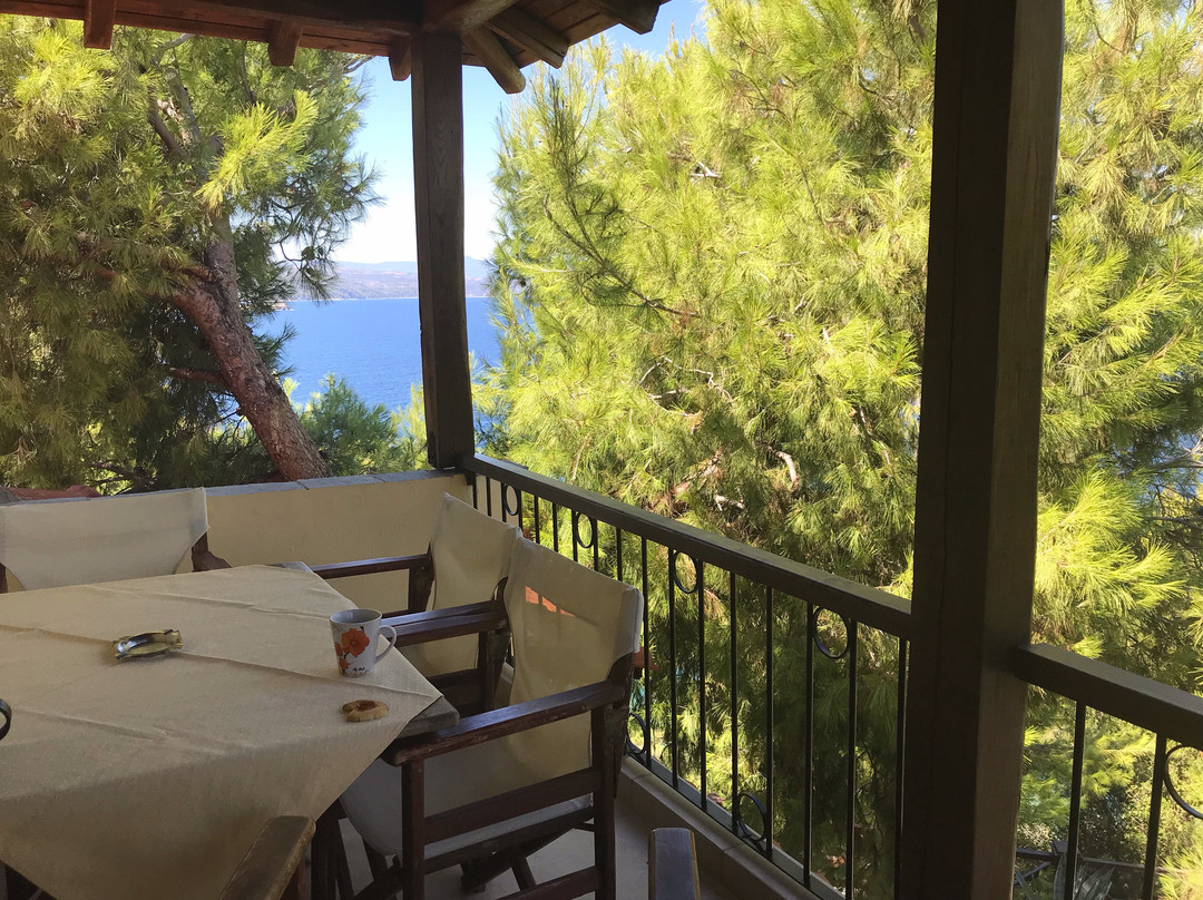 Heos Studios & Apartments主图