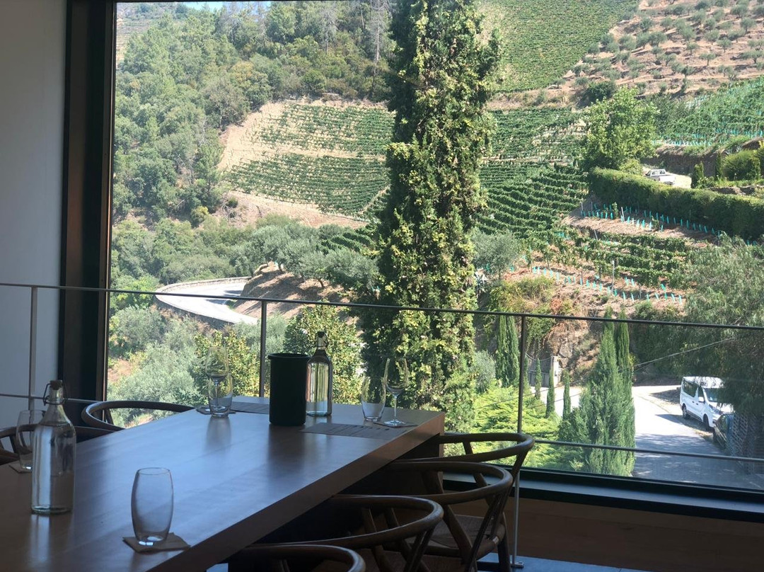 Quinta Da Gaivosa景点图片