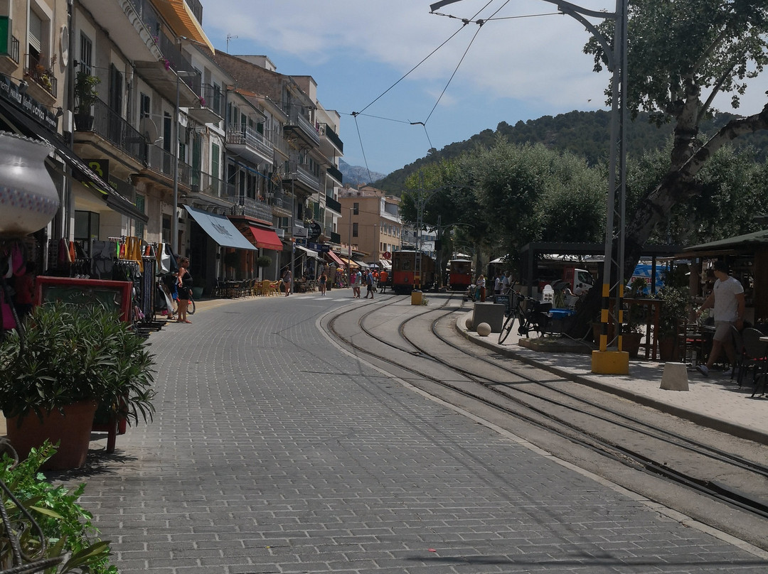 Hotel Soller Garden主图