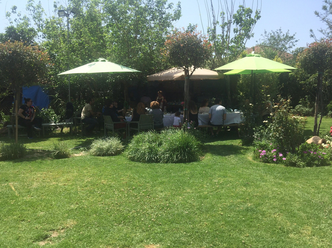 Romalea's Apartments主图