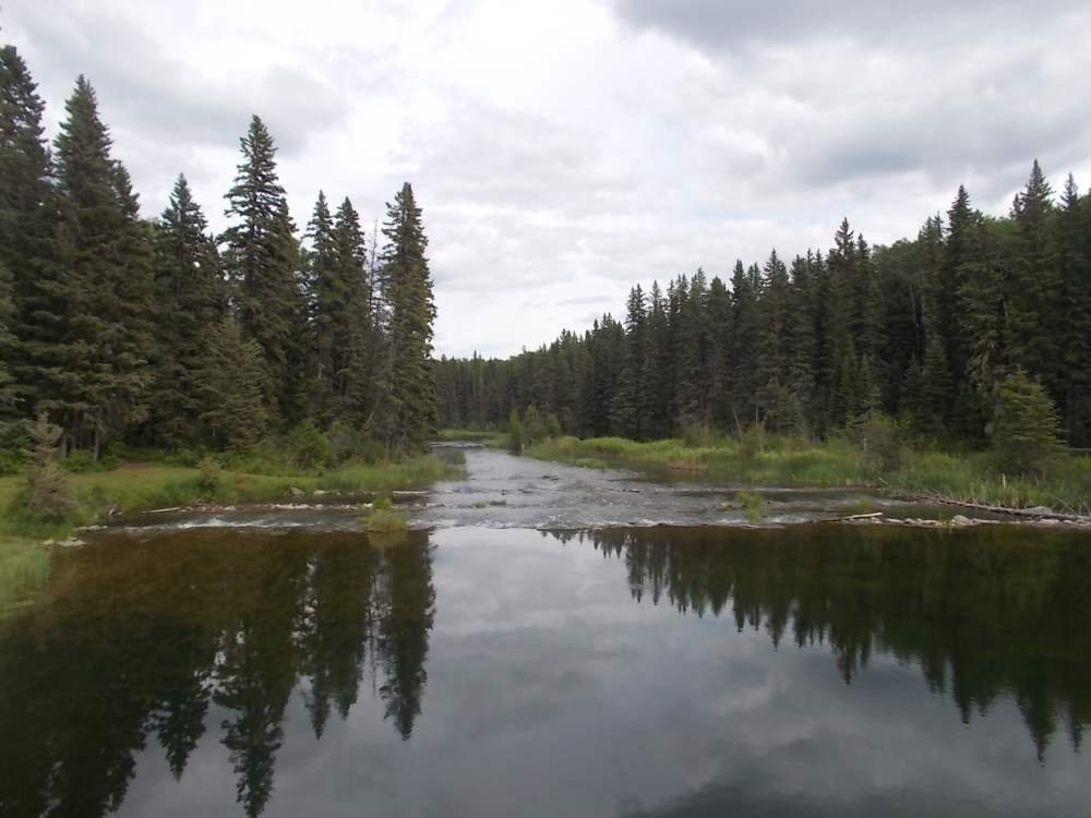 Waskesiu River Trail景点图片