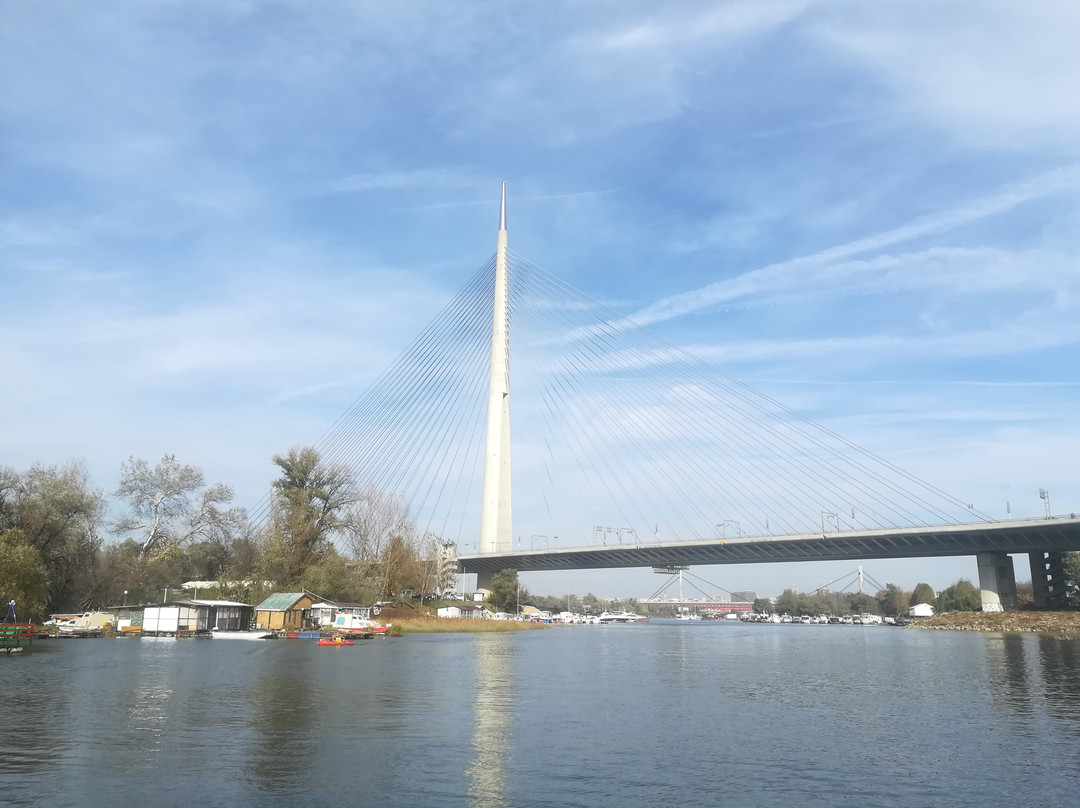 Sava Bridge-贝尔格莱德必去景点