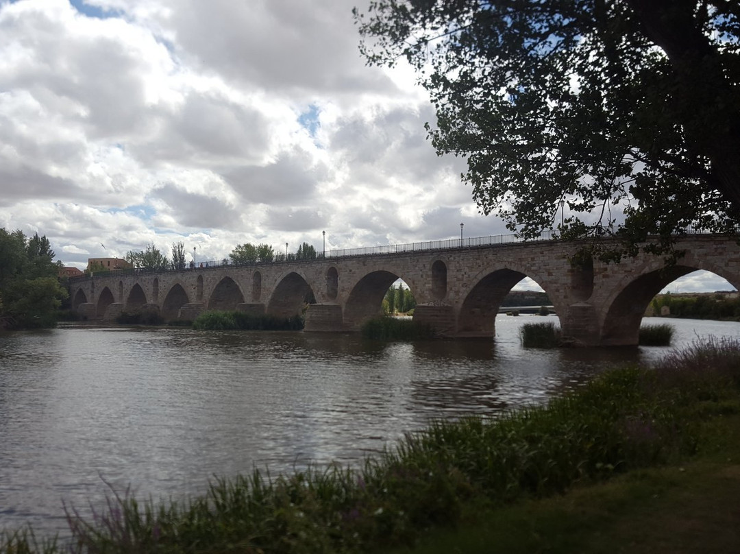 Puente de Piedra景点图片