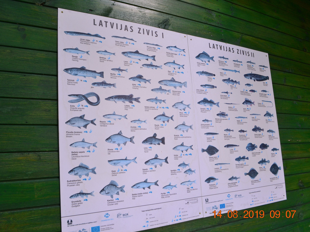 Lamprey Weirs-Salacgriva必去景点