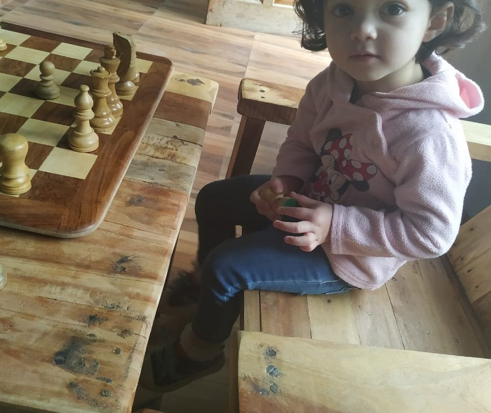 The Jungle Pool主图