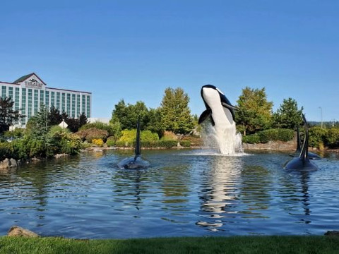 图拉利普度假酒店主图