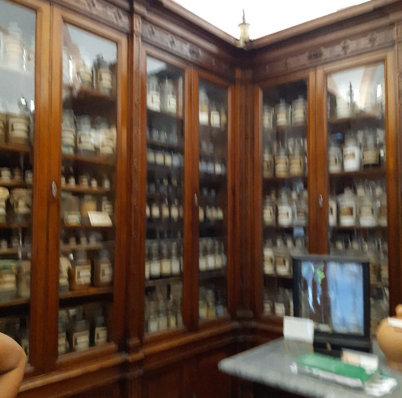 Antica Farmacia Cartia景点图片