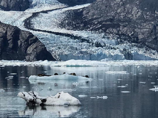 Aurelia Charters-瓦尔迪兹必去景点
