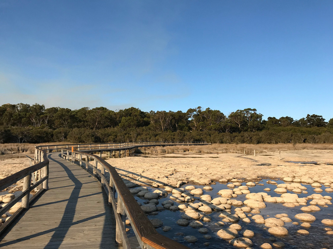 Lake Clifton景点图片