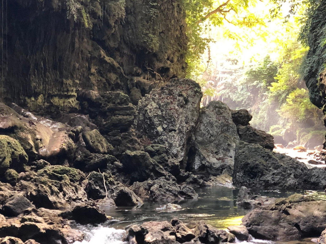 Dindin Tour - Day Tours-庞岸达兰必去景点