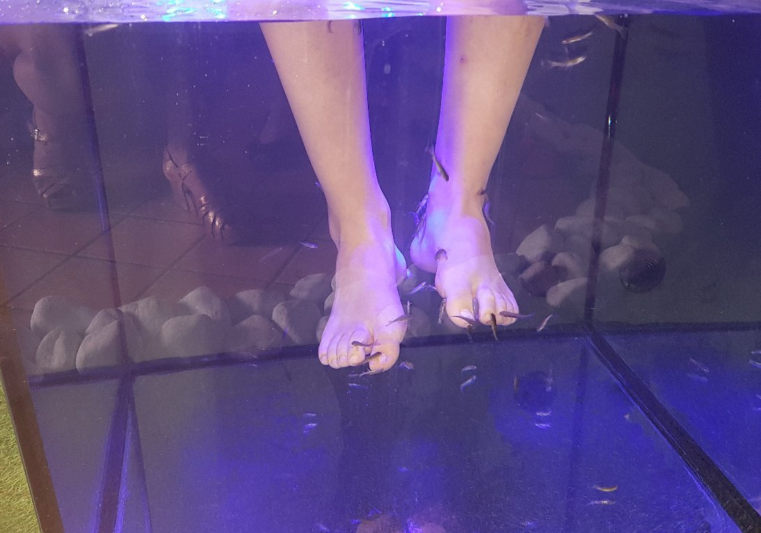 Fish & Spa景点图片