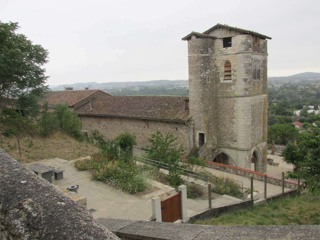 Tour château Castelnau de Lèvis景点图片