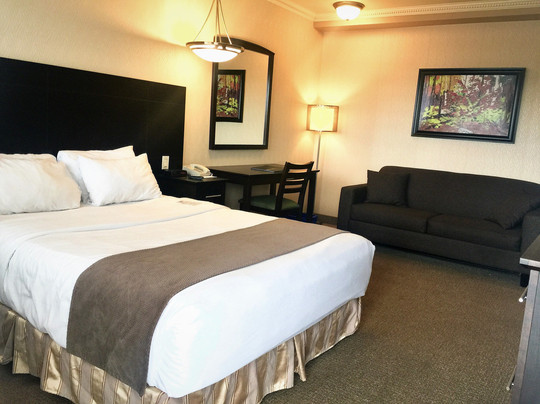 Hotel-Motel Coconut主图