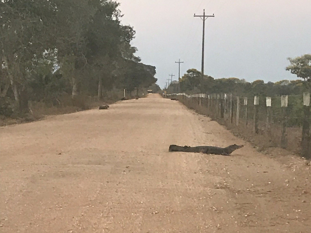 Hotel Ueso Pantanal主图