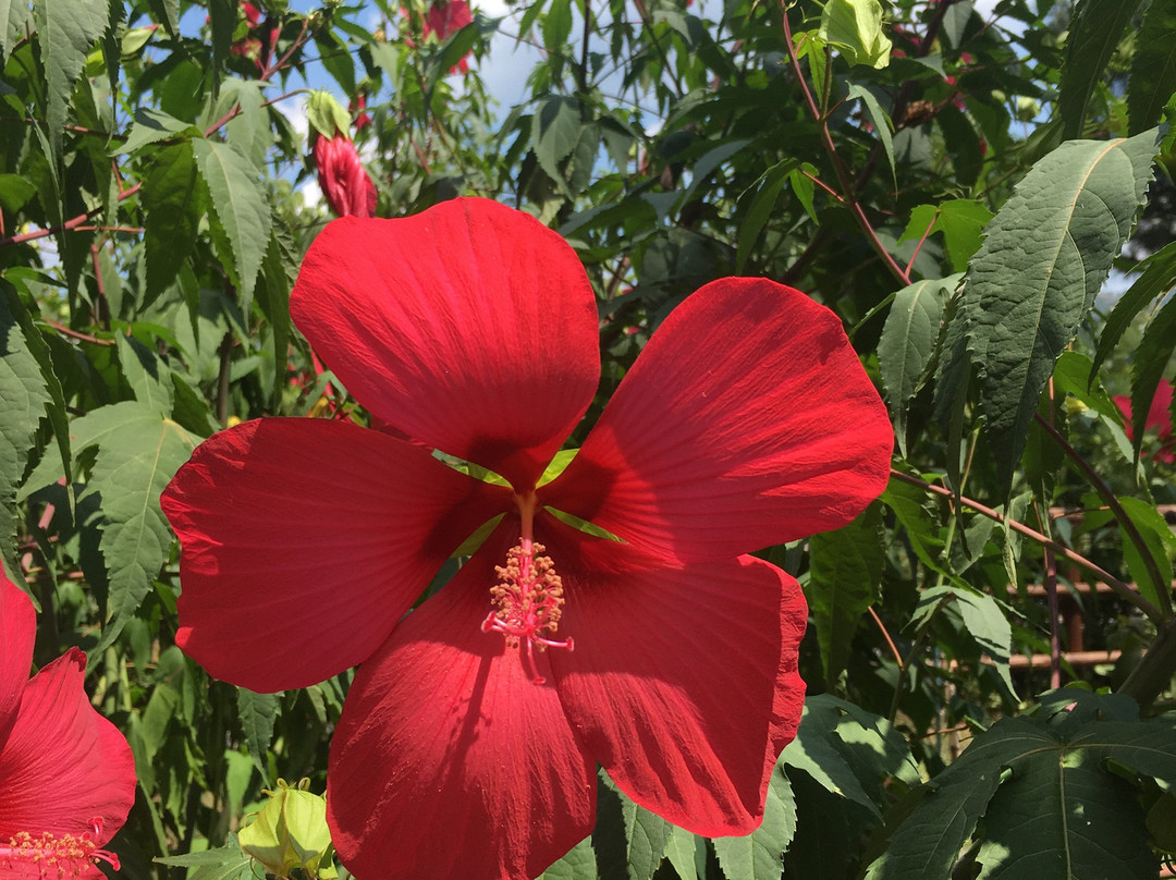 Kushta Za Gosti Dolinata Na Vulchitsata - Khotel Madzharovo主图