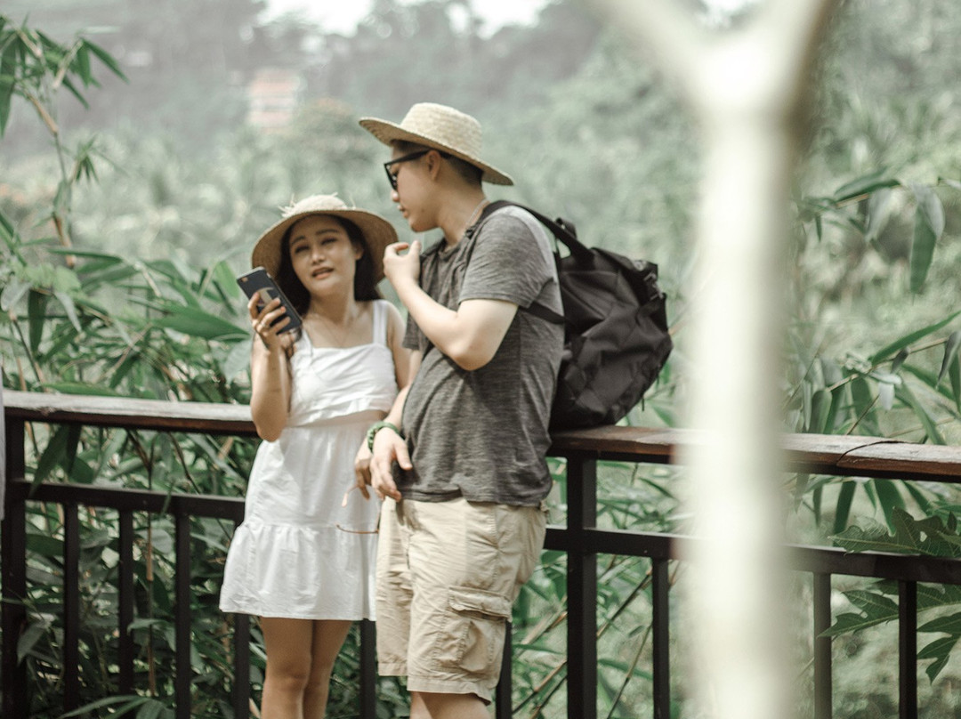 Desa Swing Bongkasa景点图片