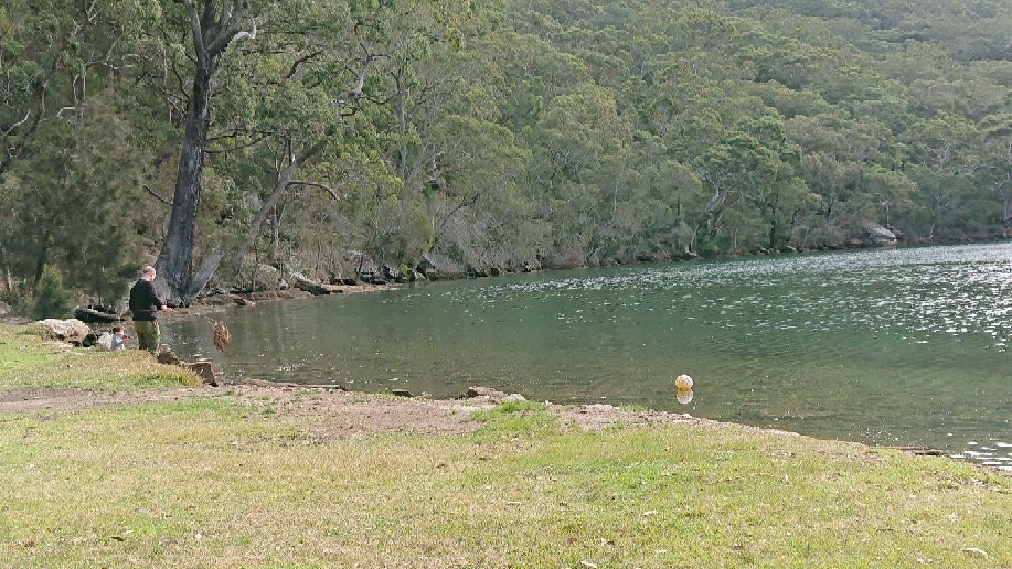 Royal National Park Visitor Centre-Royal National Park必去景点