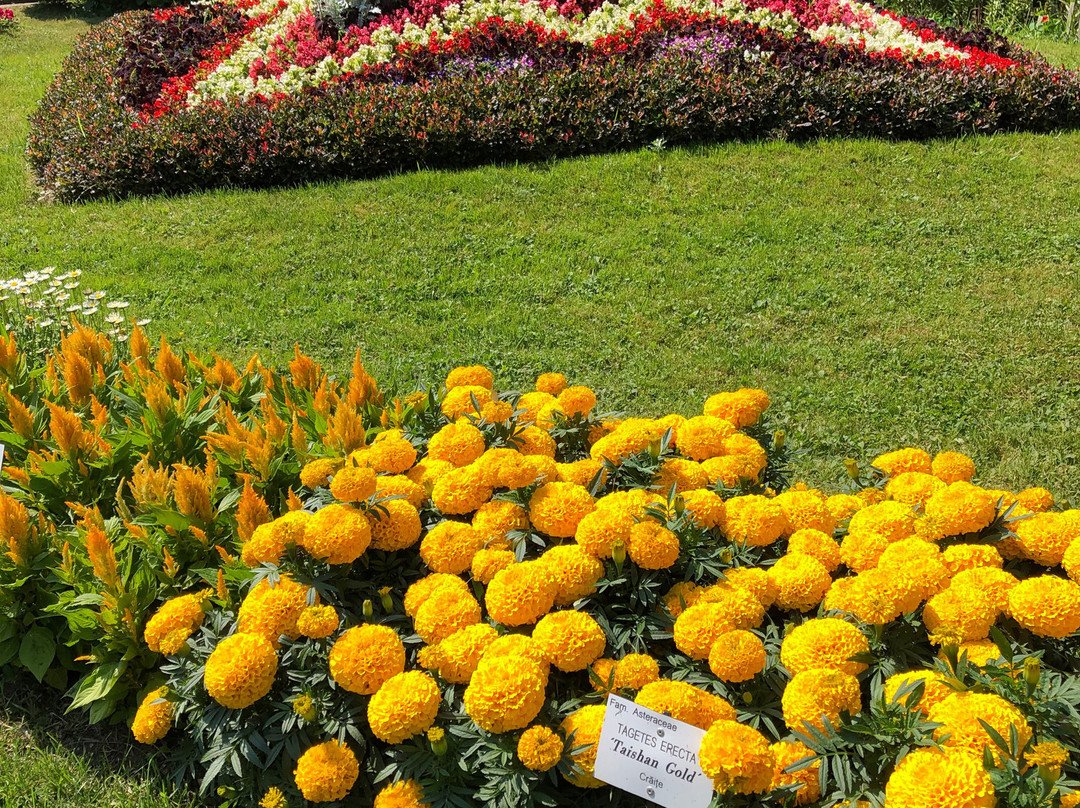 Grădina Botanică "Alexandru Borza"景点图片