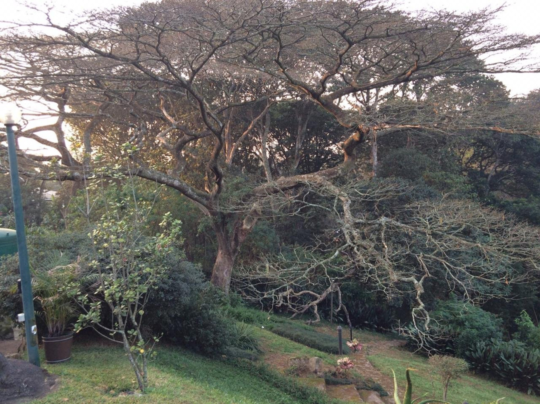 Grassroots Bed And Breakfast主图