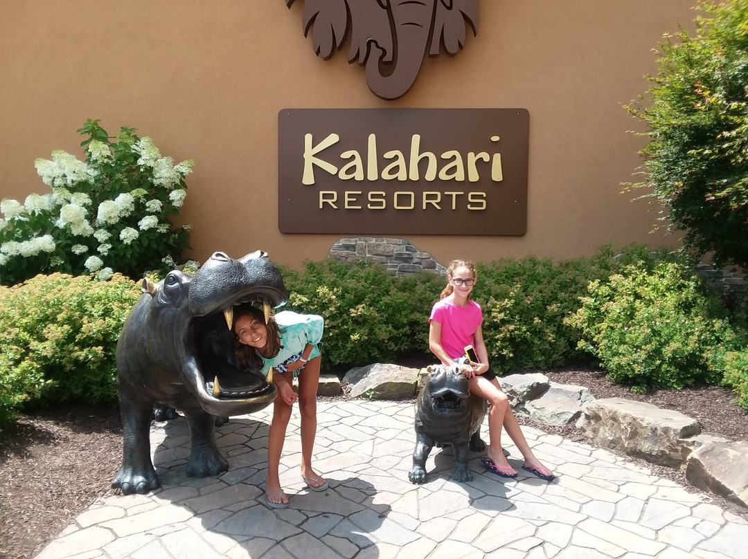 Kalahari Resorts景点图片