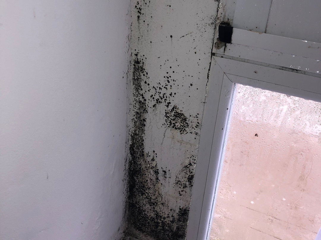 La Giraldilla Apart Hotel主图