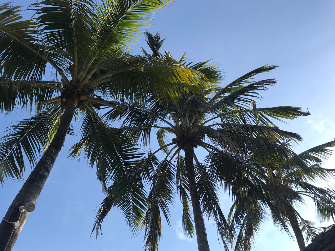 汉米尔酒店及水疗中心主图