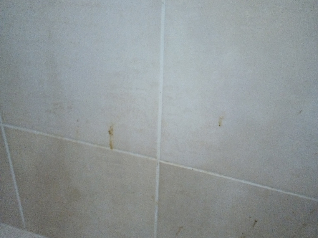 ibis Styles Cayenne Centre Amazonia主图