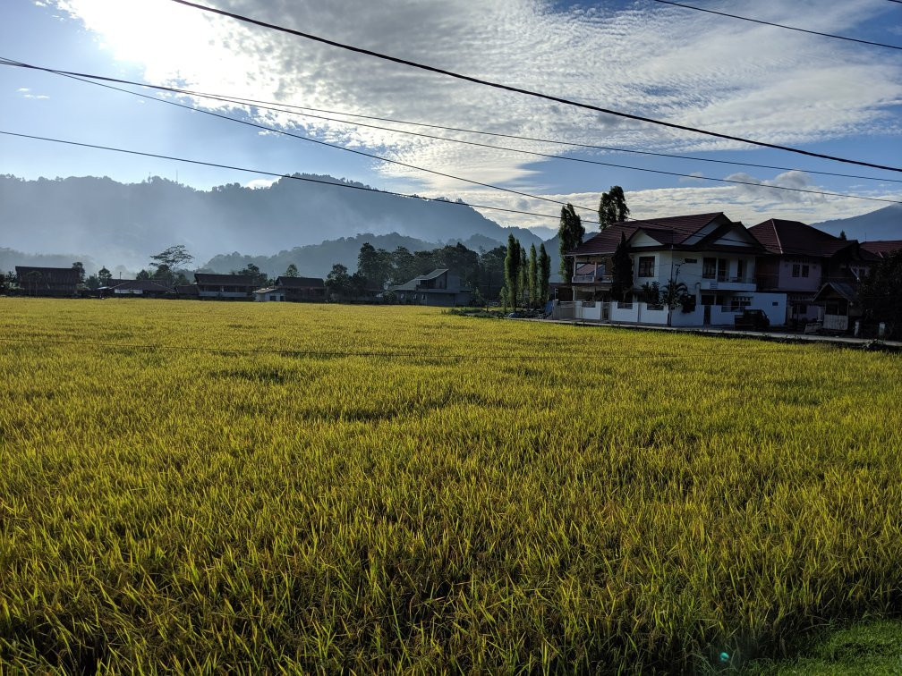 Rosalina Homestay主图