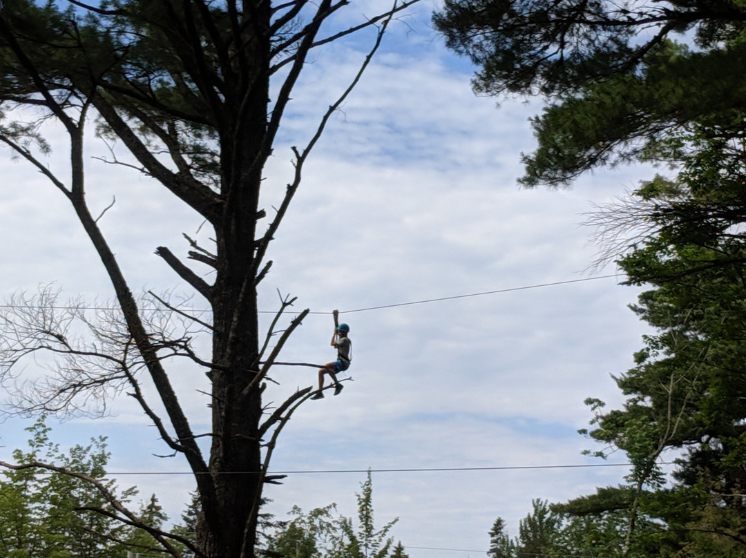 ONTREE Fun & Adventure Park-Windsor Forks必去景点