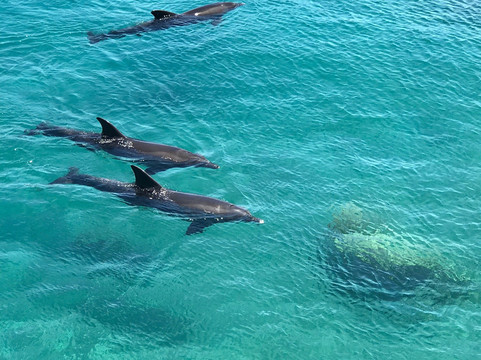 Israël Visite Guidée À La Carte Dans Tout Le Pays-耶路撒冷必去景点