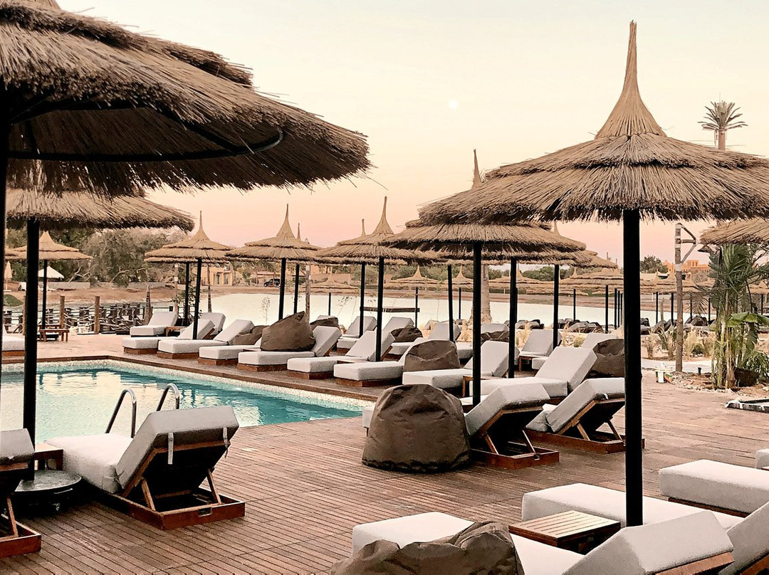 Cook's Club El Gouna主图