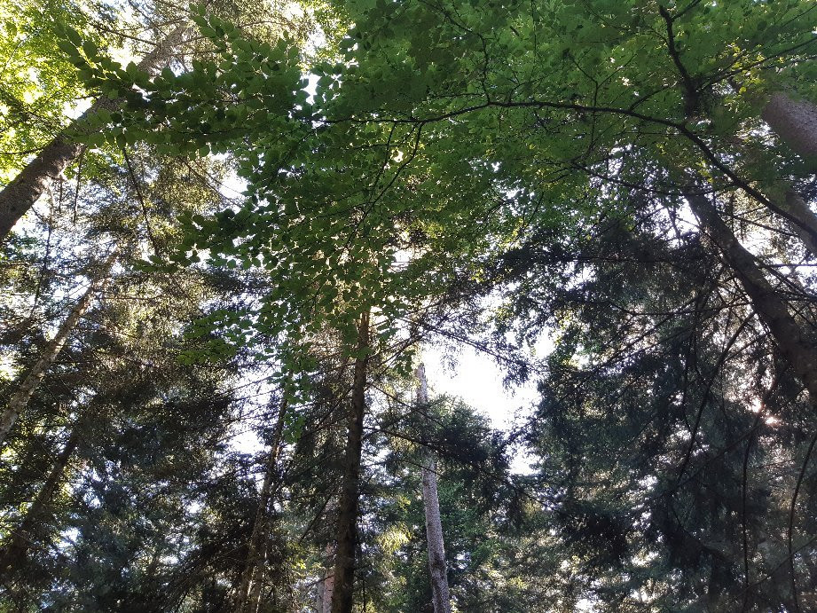 Les Anes d'Alexandre et Sylvain-Aydat必去景点