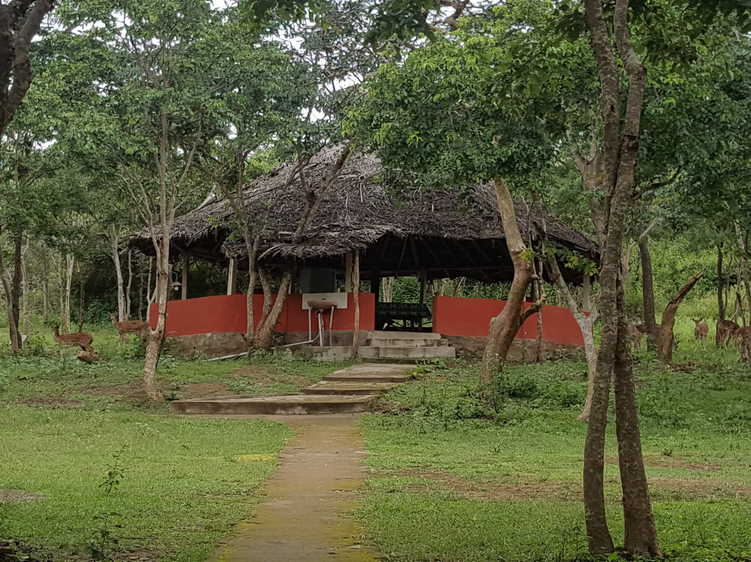 Ambuja Farms主图