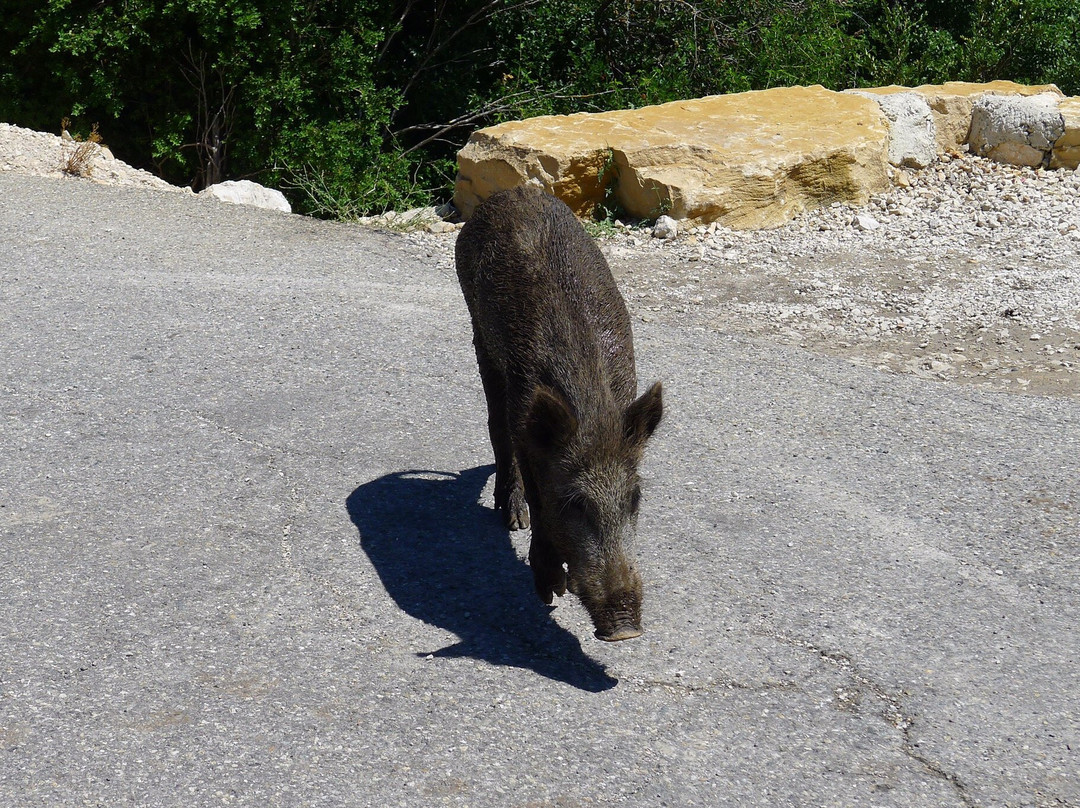 拉内斯克峡谷-Monieux必去景点