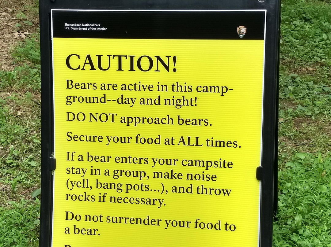 Elkwallow Picnic Area-雪兰多国家公园必去景点