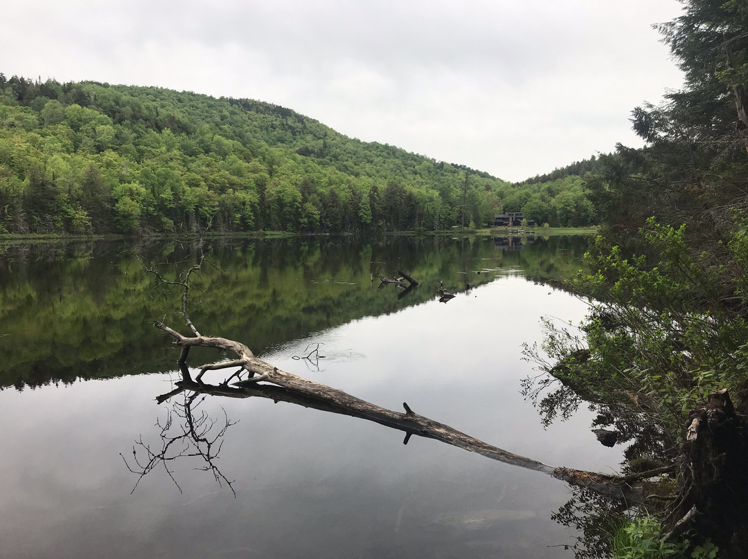Cobble Hill-普莱西德湖必去景点