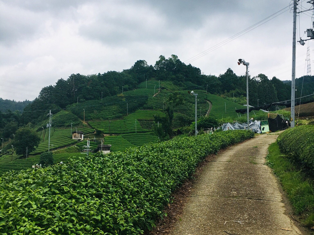 Yasaka Shrine-和束町必去景点
