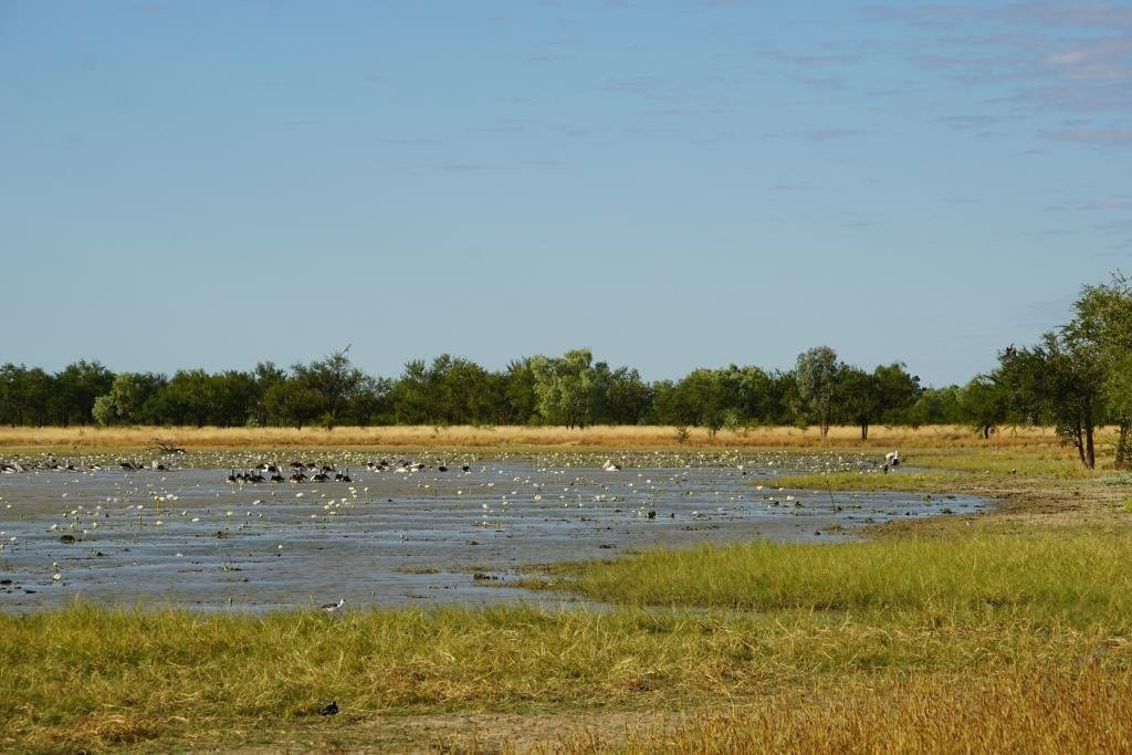 Mutton Hole Wetlands Conservation Park景点图片