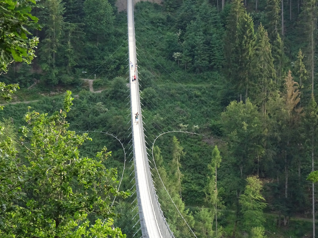 Hangeseilbrucke Geierlay-Moersdorf必去景点