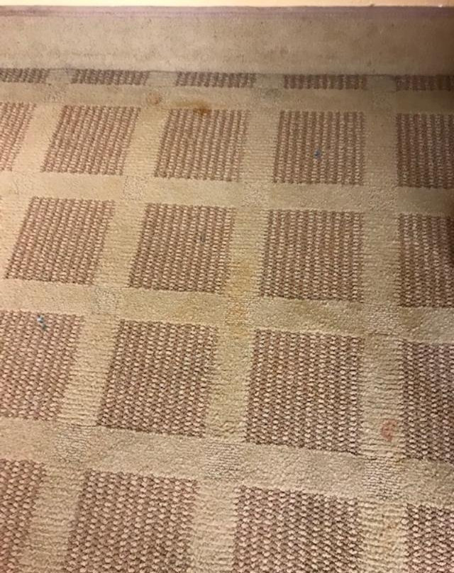 普林斯顿麦克罗特客栈&套房酒店主图