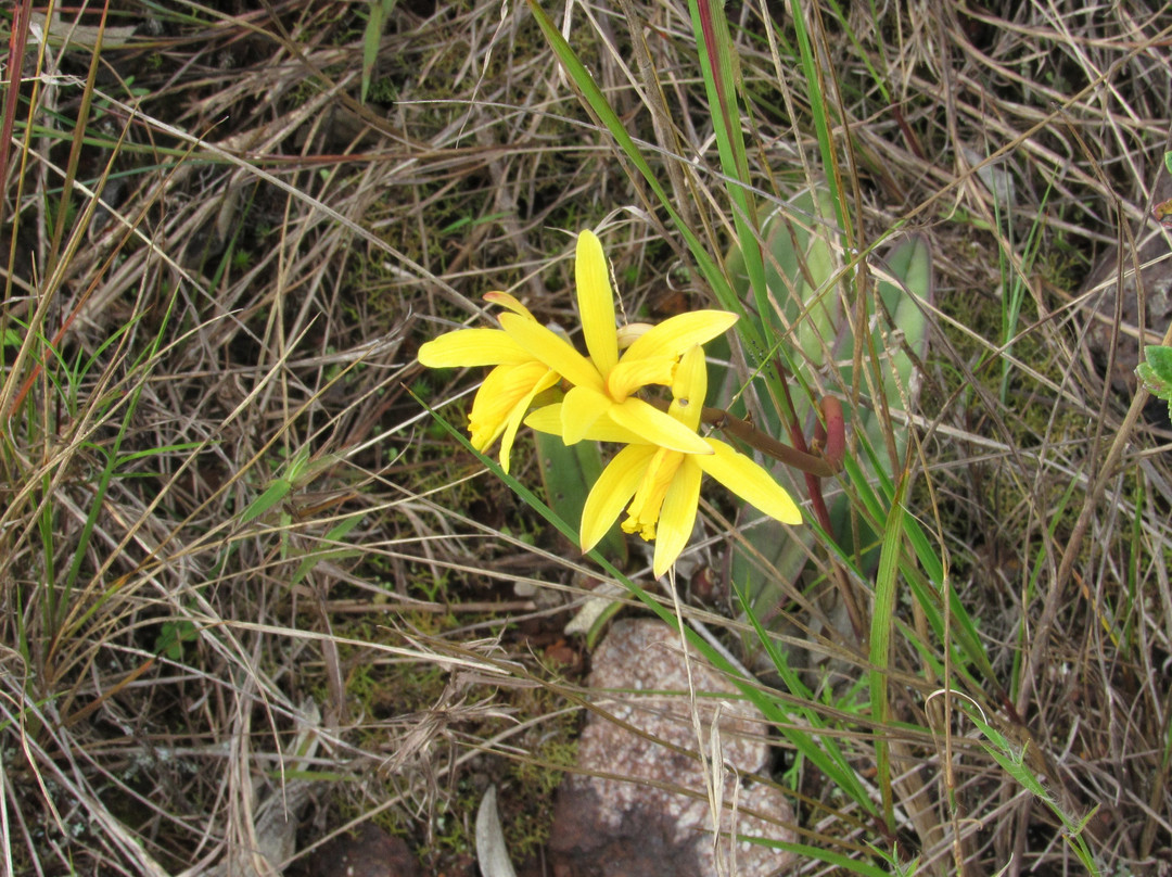 Serra do Gandarela National Park-Itabirito必去景点
