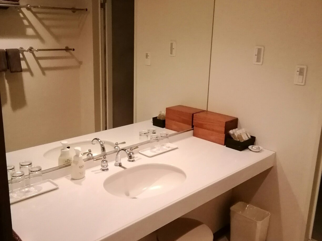 Hotel Karuizawa 1130主图
