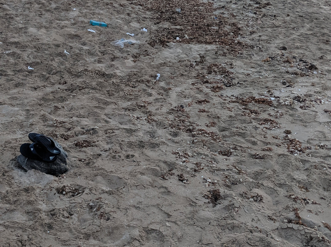 Umm Al Qwain Open Beach-乌姆盖万必去景点